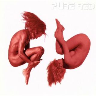 ＰＵＲＥ　ＲＥＤ(ポップス/ロック(邦楽))