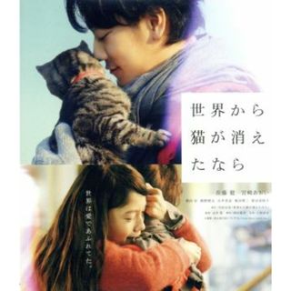 世界から猫が消えたなら　通常版（Ｂｌｕ－ｒａｙ　Ｄｉｓｃ）