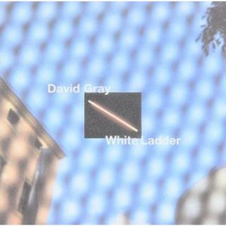 【輸入盤】Ｗｈｉｔｅ　Ｌａｄｄｅｒ(ポップス/ロック(洋楽))