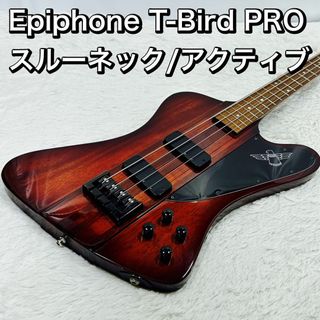 Epiphone T-Bird PRO スルーネック/アクティブイコライザー(エレキベース)