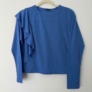 ザラ(ZARA)のZARA シアーショートトップス(シャツ/ブラウス(長袖/七分))