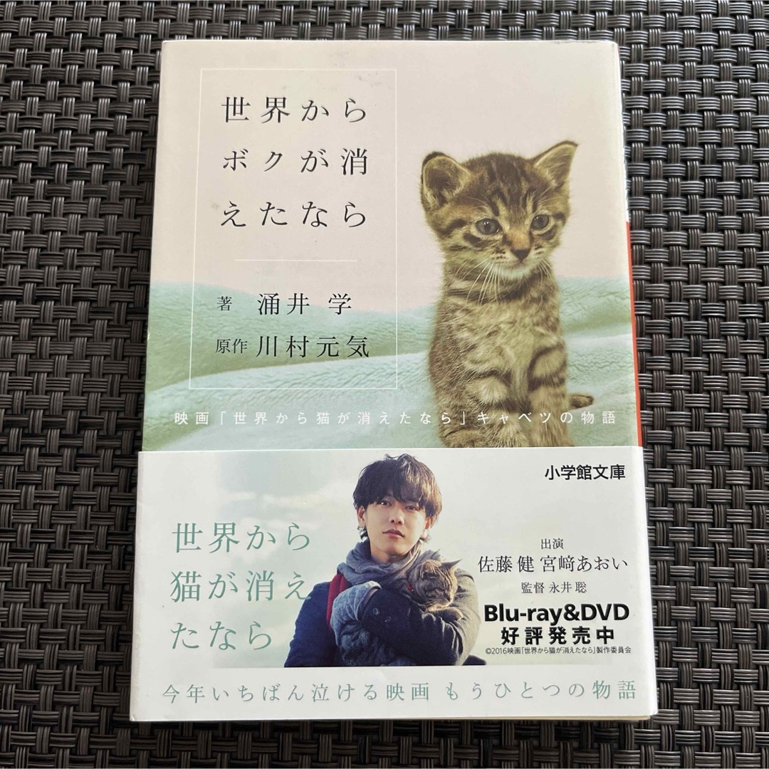 世界からボクが消えたなら 映画「世界から猫が消えたなら」キャベツの物語 エンタメ/ホビーの本(文学/小説)の商品写真