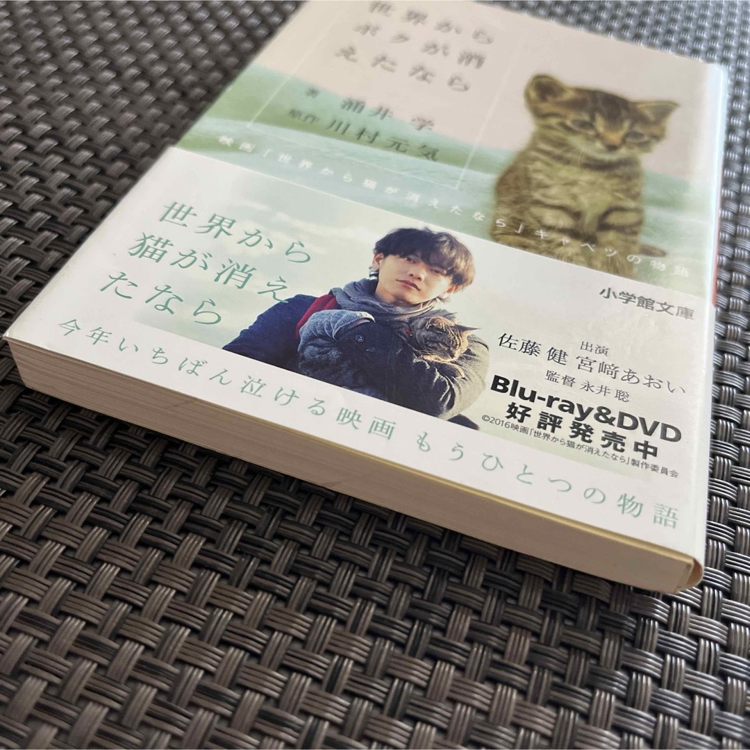 世界からボクが消えたなら 映画「世界から猫が消えたなら」キャベツの物語 エンタメ/ホビーの本(文学/小説)の商品写真