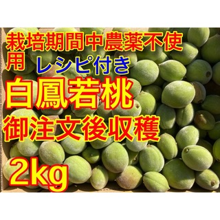 購入後収穫！木なり、若桃レシピ付き♡２kg(フルーツ)