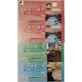 スパリゾートハワイアンズ 入場券 2枚ほか 2024年6月期限 -m(遊園地/テーマパーク)