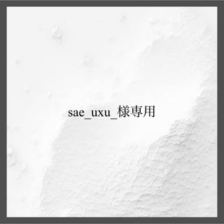 sae_uxu_様専用(バッグ)