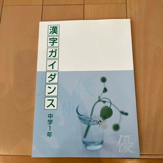 漢字ガイダンス　中学1年(語学/参考書)