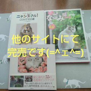 にゃんて素敵な愛のコトバなど…ニャンコ本３冊セット(文学/小説)