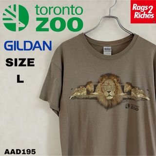 トロント動物園 TORONTO ZOOアニマル ライオン プリント Tシャツ