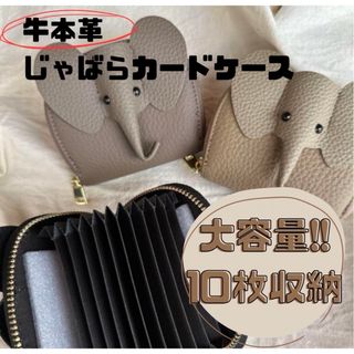 カードホルダー　じゃばら　かわいい　おしゃれ　 ミニ財布 ゾウ財布(コインケース)