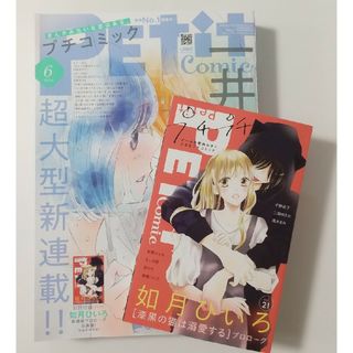 小学館 - ﾌﾟﾁｺﾐｯｸ 6月号(5/8発売) 別冊付録あり