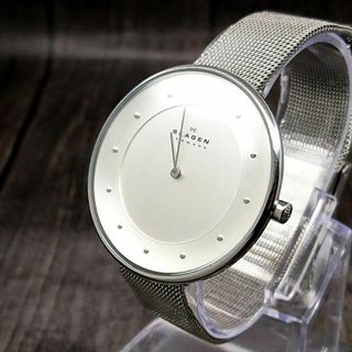 スカーゲン(SKAGEN)のSkagen 腕時計(腕時計)