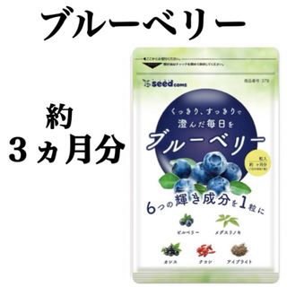 【ブルーベリー】約３ヵ月分 ☆ 長時間のTV、スマホの利用で目が疲れている方に！(その他)