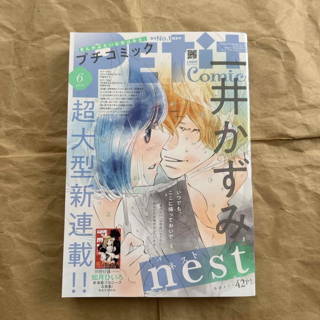 Petit comic (プチコミック) 2024年 06月号 専用です‼︎ エンタメ/ホビーの漫画(女性漫画)の商品写真