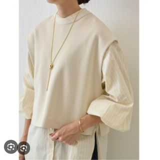 ビアズリー(BEARDSLEY)のビアズリー　ジレセットストライプシャツ新品(シャツ/ブラウス(長袖/七分))