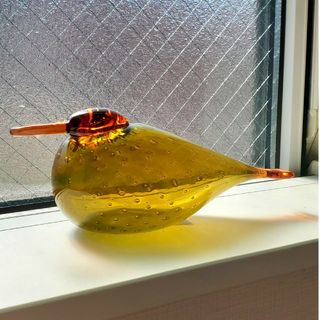 iittala - iittala bird イッタラバード Grass Eider