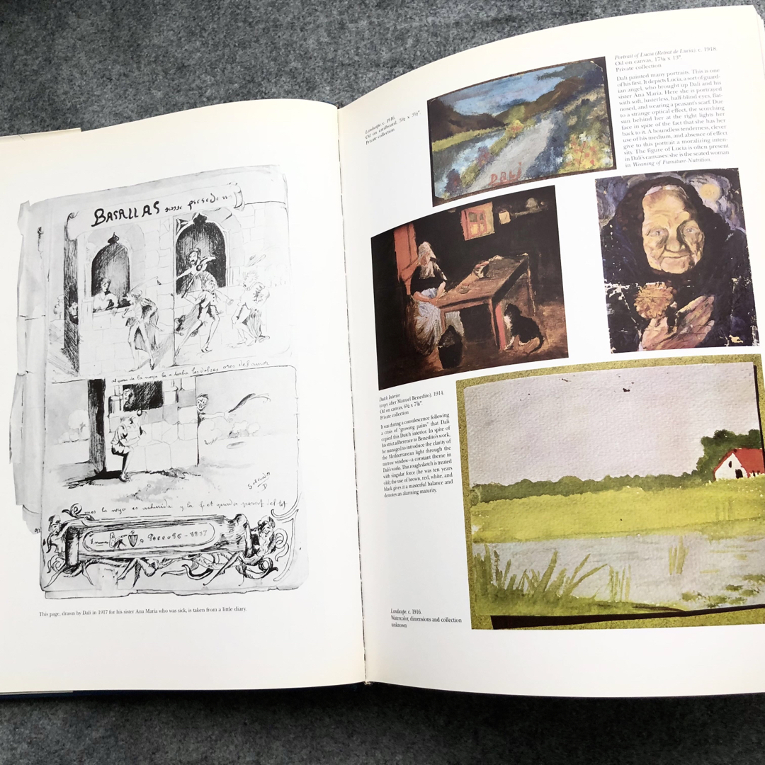 サルバドール・ダリ 画集「Dali : The Work the Man」大型本 エンタメ/ホビーの本(洋書)の商品写真