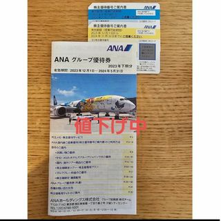 エーエヌエー(ゼンニッポンクウユ)(ANA(全日本空輸))のANA 優待券(その他)