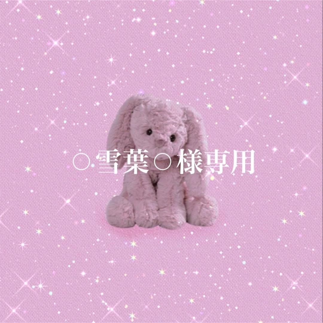 ⚪︎雪葉⚪︎様専用 ハンドメイドのぬいぐるみ/人形(ぬいぐるみ)の商品写真