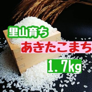 里山育ち　あきたこまち1.7kg(精米・令和5年産)(米/穀物)