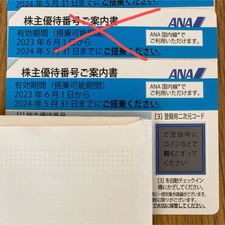 エーエヌエー(ゼンニッポンクウユ)(ANA(全日本空輸))のの様専用　ANA 株主優待　1枚(航空券)