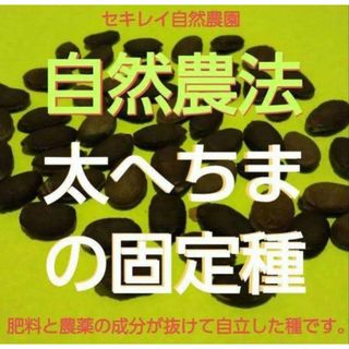 自然農法　太へちまの固定種