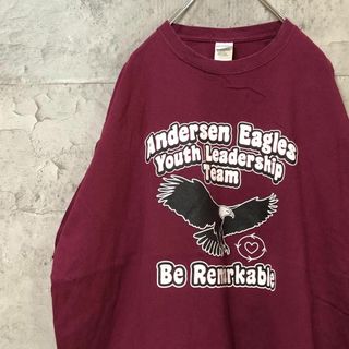 Be remarkable ワシ プリント USA輸入 オーバー Tシャツ(Tシャツ/カットソー(半袖/袖なし))