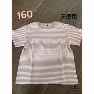 ピンクラテ(PINK-latte)の未使用　ボーダーT(Tシャツ/カットソー)