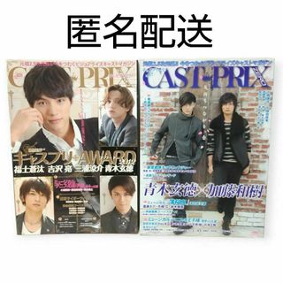 キャスプリゼロ　CAST-PRIX ZERO vol.026 027 2冊セット(アート/エンタメ/ホビー)