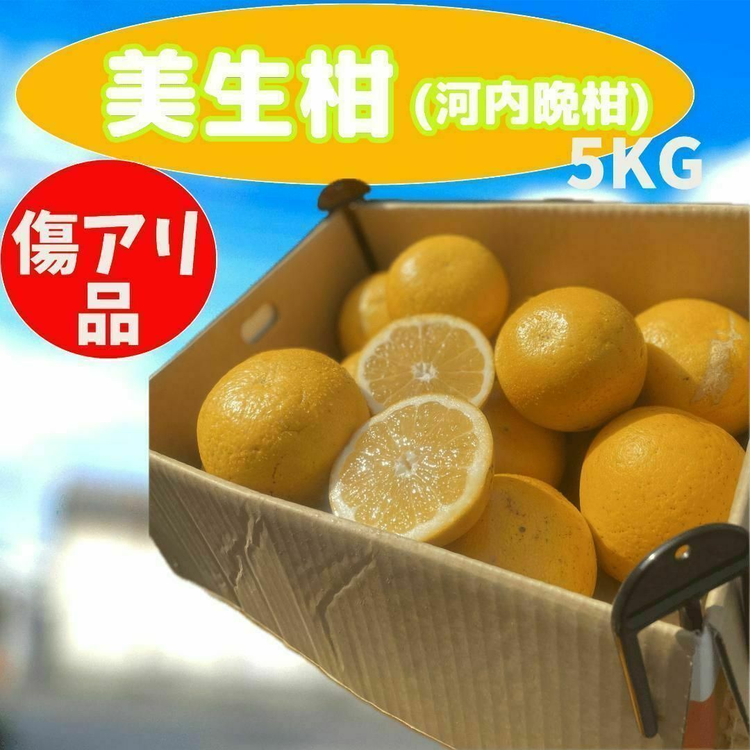 溢れる果汁！和製グループフルーツ　美生柑 5Kg 食品/飲料/酒の食品(フルーツ)の商品写真