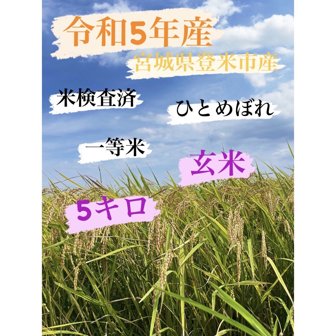 玄米　5キロ　令和5年産　ひとめぼれ　一等米　宮城県登米市中田町 食品/飲料/酒の食品(米/穀物)の商品写真