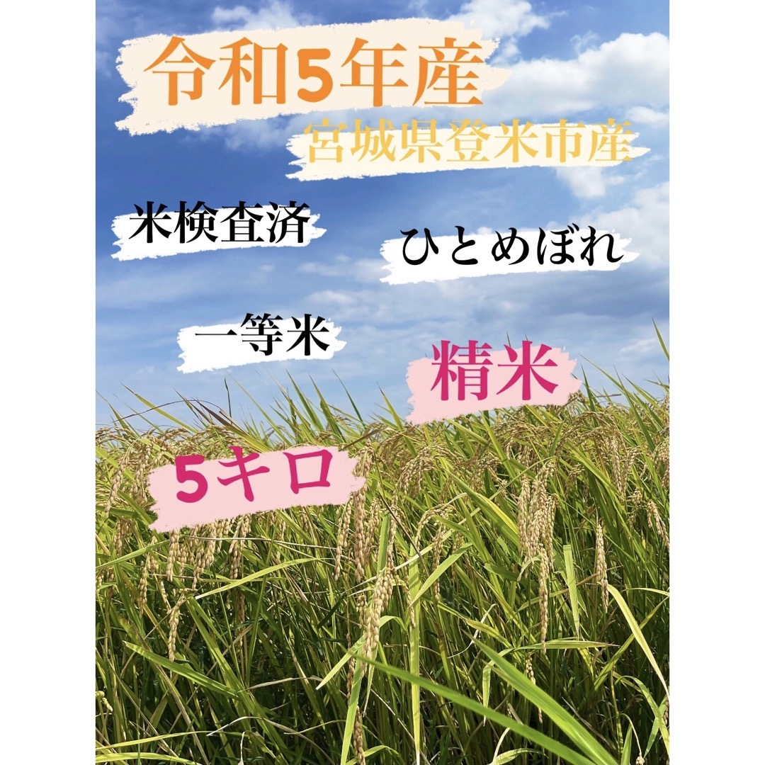 白米　精米　5キロ　令和5年産　ひとめぼれ　一等米　宮城県登米市中田町 食品/飲料/酒の食品(米/穀物)の商品写真