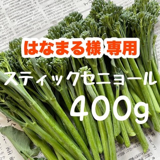 【専用★】400g  スティックセニョール 茎ブロッコリー 野菜 wp(野菜)