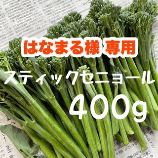 【専用★】400g  スティックセニョール 茎ブロッコリー 野菜 tmg(野菜)