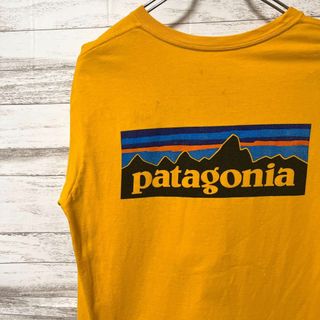 パタゴニア patagonia Tシャツ 半袖 メンズ M バックプリント(Tシャツ/カットソー(半袖/袖なし))