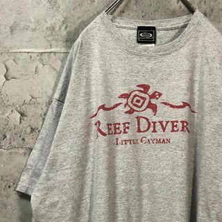 REEF DIVERS カメ フロントロゴ アメリカ輸入 Tシャツ