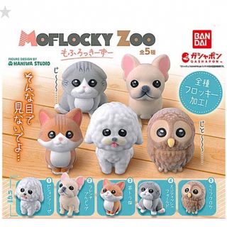 バンダイ(BANDAI)のMOFLOCKY ZOO もふろっきーずー　ガチャガチャ　全5種セット(キャラクターグッズ)