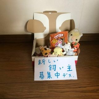 ♪新しい飼い主さん 募集中 ぬいぐるみ(ぬいぐるみ)