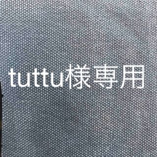 tuttu様専用　2枚(その他)