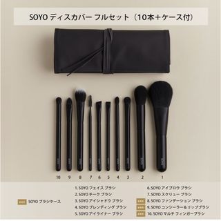 【新品】SOYO ディスカバー フルセット （10本＋ケース付）(ブラシ・チップ)