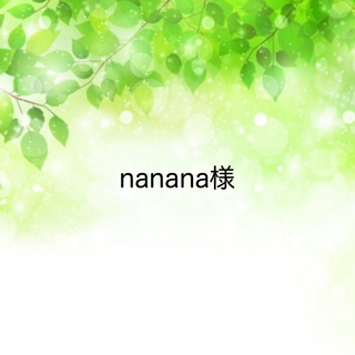 nanana様☆専用ページ(その他)