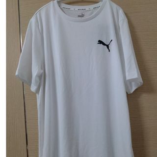 PUMA - PUMAホワイトTシャツ