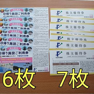 藤田観光 株主優待券 　6枚　ユネッサン 下田海中水族館　株主優待券  株主優待(その他)