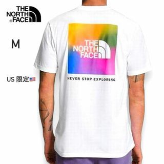 THE NORTH FACE - US限定！ ノースフェイス レインボー Tシャツ 半袖 M ボックス ロゴ