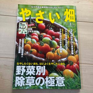 やさい畑 2023年 04月号 [雑誌](生活/健康)