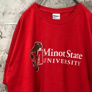 Minot State ビーバー アニマル USA輸入 カレッジロゴ Tシャツ(Tシャツ/カットソー(半袖/袖なし))