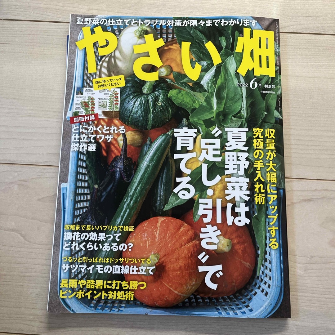 やさい畑 2022年 06月号 [雑誌] エンタメ/ホビーの雑誌(生活/健康)の商品写真