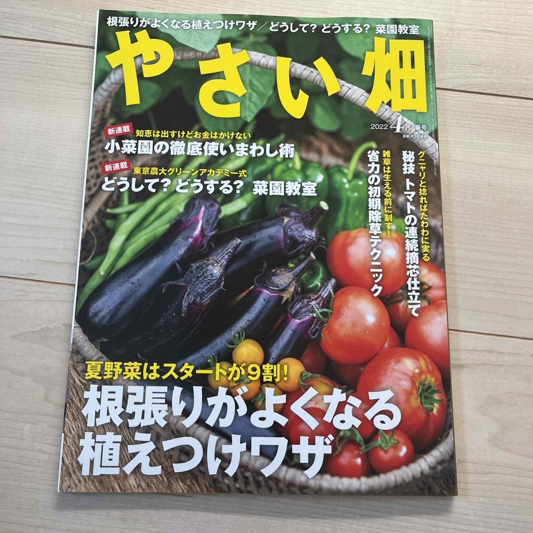 やさい畑 2022年 04月号 [雑誌] エンタメ/ホビーの雑誌(生活/健康)の商品写真