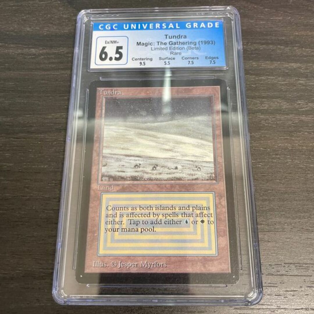 マジック：ザ・ギャザリング(マジックザギャザリング)のTundra LEB CGC6.5 エンタメ/ホビーのトレーディングカード(シングルカード)の商品写真