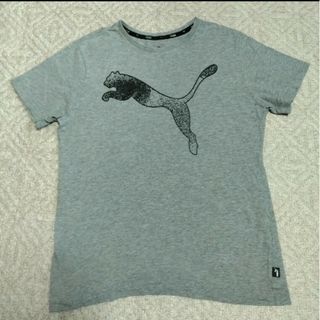 PUMA - PUMA半袖Tシャツ160cm